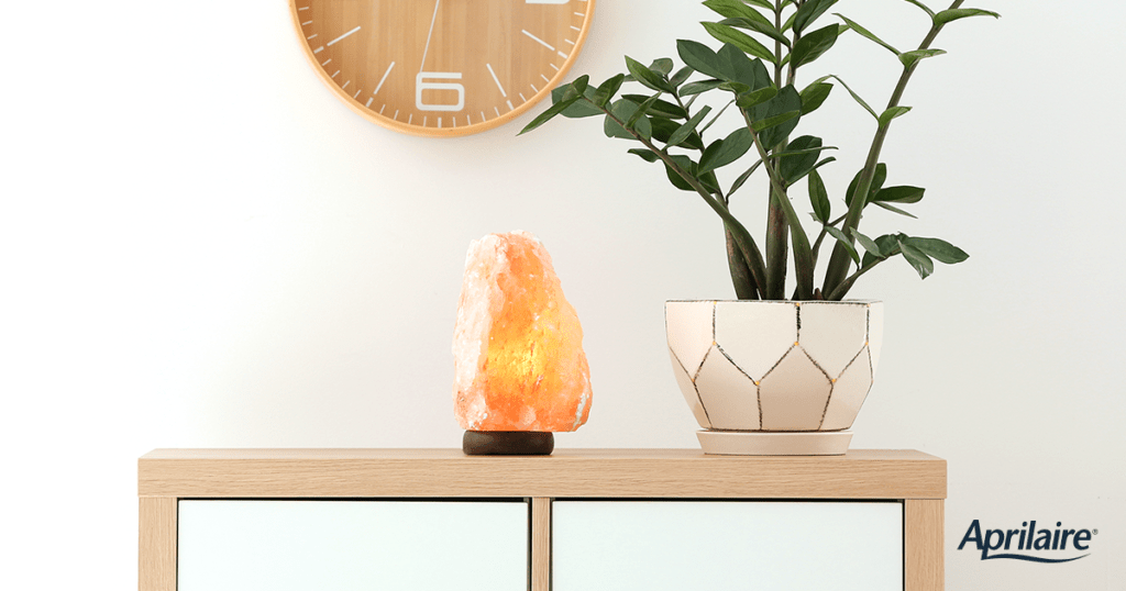 salt lamp hong kong